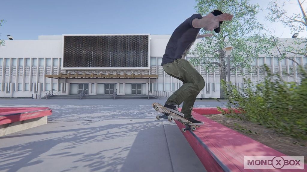 Skater XL - Immagine 14 di 15