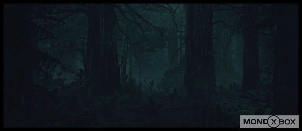 Alan Wake 2 - Immagine 4 di 7