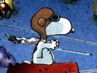 Tutte le immagini di Snoopy vs The Red Baron