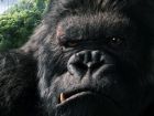 Tutte le immagini di Peter Jackson's King Kong (360)